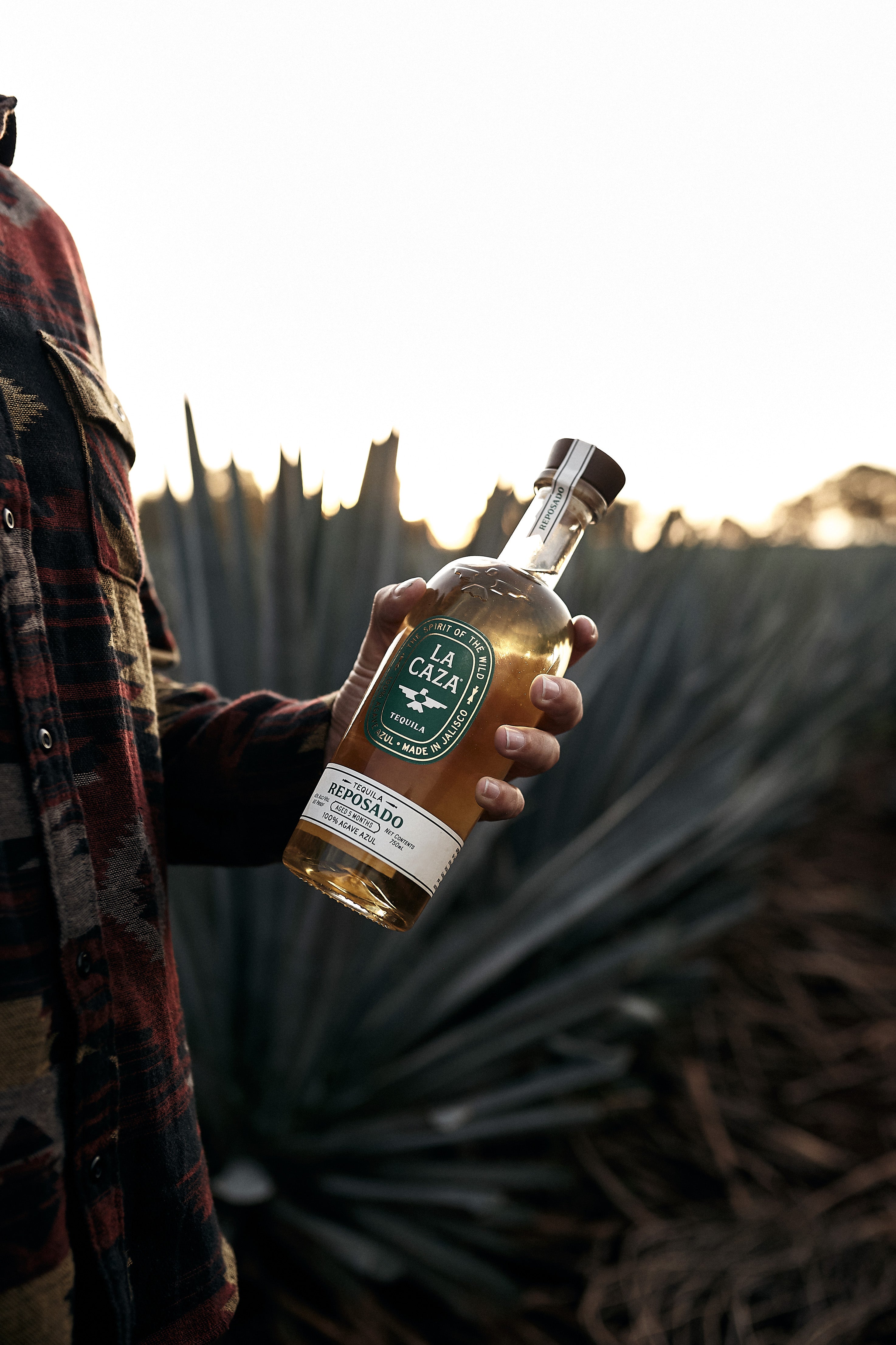La Caza Reposado